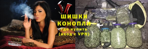 молекула духа Богданович